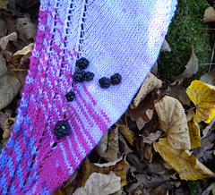 Dscn9863_small