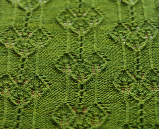 Dsc_1315_small2
