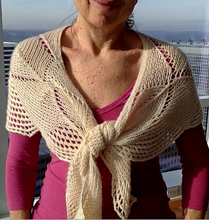 Doneshawl_small2
