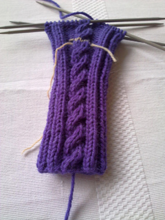 Lilac_mitts_small2