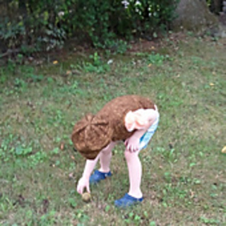 Wp_001650_small2