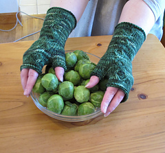 Bsprouts1_small