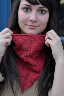 Sammy_in_scarf__07233_zoom_small2