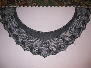 Black_tulip_001_small2