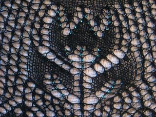 Black_tulip_004_small2