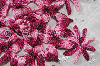 Dla84859-m_small2