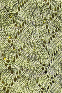 Botanical_b_500_small2