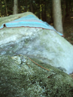 Dsc03488_small2
