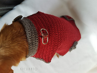 20170226_123748_small2