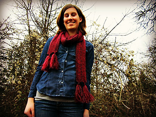 Scarf_pattern_0351_small2