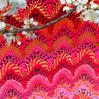 Great_shawl_rav_08_small2