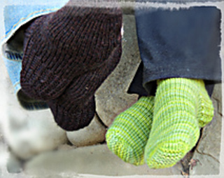 Kp_cow_springs_6_small2