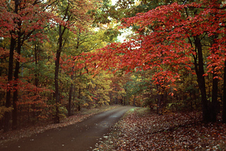 Slide1211_old_trace_drive_mp375_small2