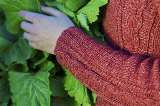 Lynden_sleeve_small2