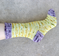Housesocks04_small