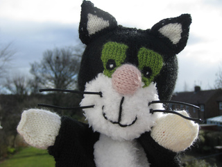 Jessthe_cat_003_small2