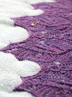 Img_7944_liliiflora_alternatif_edging_small2