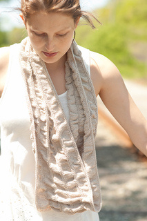 Dsc_8565crop_small2