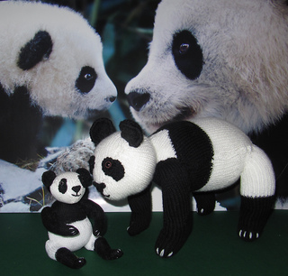 Panda_and_baby11_small2