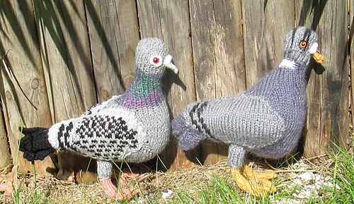 Pigeons_by_madmonkeyknits2_medium