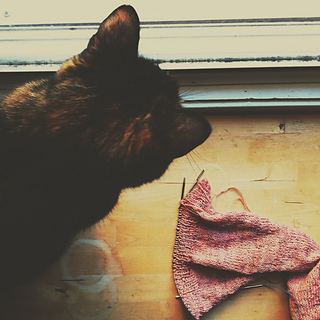 Whisy_cardi_halfway_with_cat_lg_small2