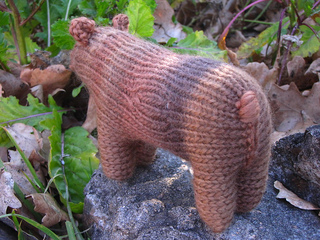 Grizzly_bear_small2