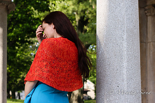 Tiger_lily-4-2_small2