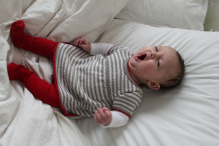 Juno_3__yawning__small2