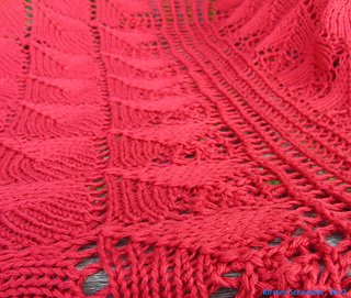 Cimg7032_small2