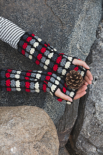 Tulip_gauntlets_close_up_small2