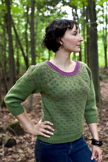 Sheepcote_d_500_small2