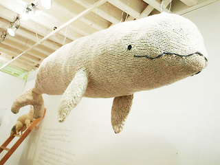 Whaleface_hannahhaworth_small2
