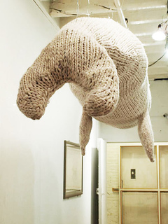 Whaletail_hannahhaworth_small2