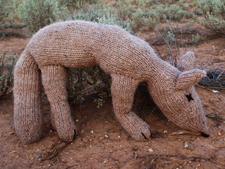 Coyotestanding_hannahhaworth_small2