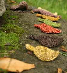 Leaves_lined_up_small