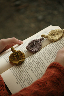 Leaves_on_book1_small2
