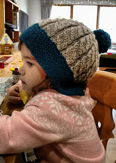 Img_20151119_114159_small2