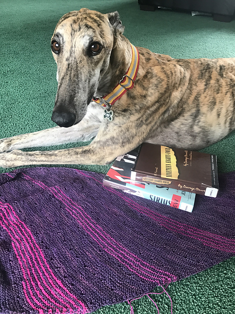 Nutmegknitter's Solaris WIP and yarn along books