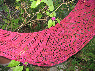Beauty_berry_small2