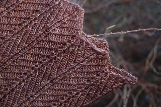 Image_small2
