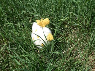 Lepoulet1_1_050512_small2