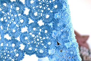 Blue_halyna_2_small2
