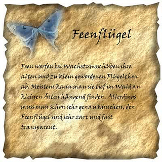 Feenwald7_small2