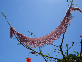 Dsc00774_small2