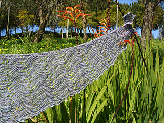 Dsc03784_small2