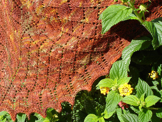 Dsc05255_small2