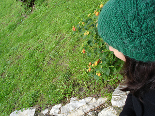 Dsc05539_small2
