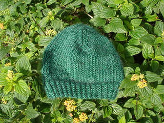 Dsc05506_small2