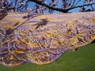 Dsc09721_small2