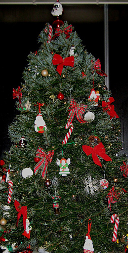 Tree5_medium